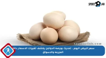 سعر البيض اليوم.. تحديث بورصة الدواجن يكشف تغيرات الأسعار داخل المزرعة والأسواق